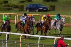 Pferderennen Neue Bult 2015 Pferderennen Neue Bult 2015