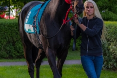 Pferderennen Neue Bult 2015 Pferderennen Neue Bult 2015