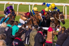 Pferderennen Neue Bult 2015 Pferderennen Neue Bult 2015
