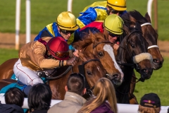 Pferderennen Neue Bult 2015 Pferderennen Neue Bult 2015