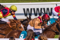Pferderennen Neue Bult 2015 Pferderennen Neue Bult 2015
