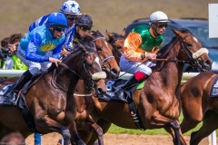 Pferderennen Neue Bult 2015 Pferderennen Neue Bult 2015