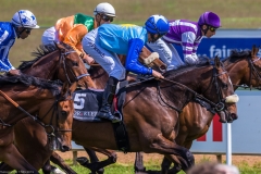 Pferderennen Neue Bult 2015 Pferderennen Neue Bult 2015