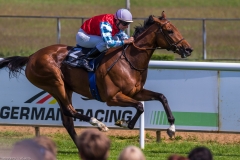 Pferderennen Neue Bult 2015 Pferderennen Neue Bult 2015