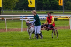 Pferderennen Neue Bult 2015 Pferderennen Neue Bult 2015
