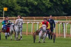 Pferderennen Neue Bult 2015