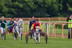 Pferderennen Neue Bult 2015 Pferderennen Neue Bult 2015