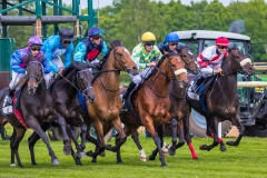 Pferderennen Neue Bult 2015 Pferderennen Neue Bult 2015