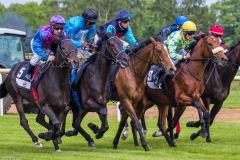 Pferderennen Neue Bult 2015 Pferderennen Neue Bult 2015