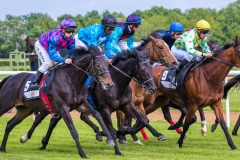 Pferderennen Neue Bult 2015 Pferderennen Neue Bult 2015