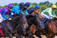 Pferderennen Neue Bult 2015 Pferderennen Neue Bult 2015