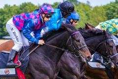 Pferderennen Neue Bult 2015 Pferderennen Neue Bult 2015