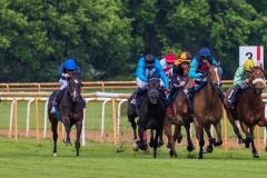 Pferderennen Neue Bult 2015 Pferderennen Neue Bult 2015