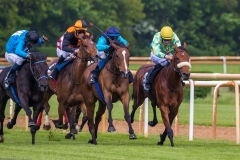 Pferderennen Neue Bult 2015 Pferderennen Neue Bult 2015
