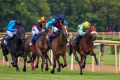 Pferderennen Neue Bult 2015 Pferderennen Neue Bult 2015