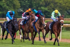 Pferderennen Neue Bult 2015 Pferderennen Neue Bult 2015