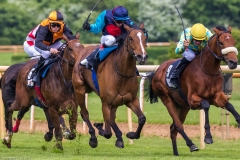 Pferderennen Neue Bult 2015 Pferderennen Neue Bult 2015