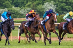 Pferderennen Neue Bult 2015 Pferderennen Neue Bult 2015