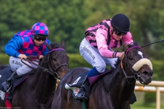 Pferderennen Neue Bult 2015 Pferderennen Neue Bult 2015