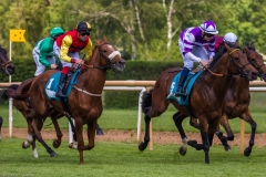 Pferderennen Neue Bult 2015 Pferderennen Neue Bult 2015