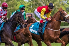 Pferderennen Neue Bult 2015 Pferderennen Neue Bult 2015