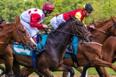 Pferderennen Neue Bult 2015 Pferderennen Neue Bult 2015