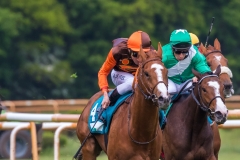 Pferderennen Neue Bult 2015 Pferderennen Neue Bult 2015