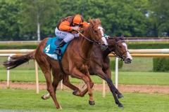 Pferderennen Neue Bult 2015 Pferderennen Neue Bult 2015