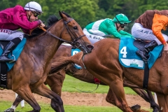 Pferderennen Neue Bult 2015