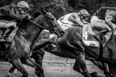 Pferderennen Neue Bult 2015 Pferderennen Neue Bult 2015