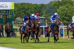 Pferderennen Neue Bult 2015