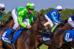 Pferderennen Neue Bult 2015