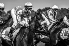 Pferderennen Neue Bult 2015 Pferderennen Neue Bult 2015