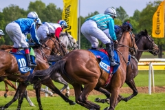 Pferderennen Neue Bult 2015