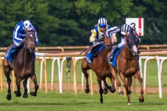 Pferderennen Neue Bult 2015