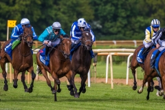 Pferderennen Neue Bult 2015