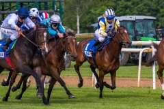 Pferderennen Neue Bult 2015