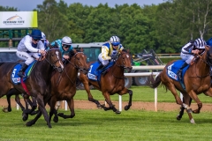 Pferderennen Neue Bult 2015