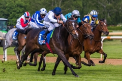 Pferderennen Neue Bult 2015