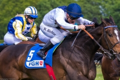 Pferderennen Neue Bult 2015