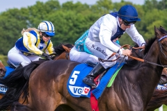 Pferderennen Neue Bult 2015