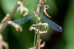 HR7_9564.jpg
