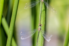 HR7_9745.jpg