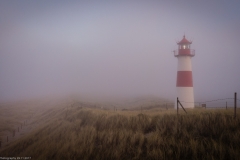 DJI_0820-HDR.jpg