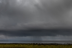 HR5_6931.jpg