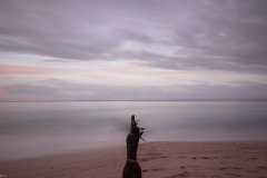 HR5_6937.jpg