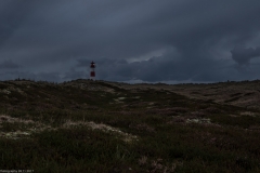 HR5_6944.jpg