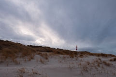 HR5_6955-HDR.jpg