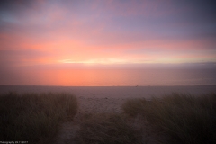 HR5_7076.jpg