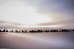 HR5_7433.jpg
